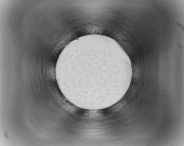X0000098130622200805151117