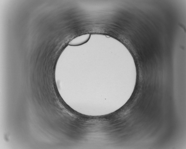 X0000098130625200805151116