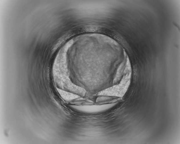 X0000098130626200805151116