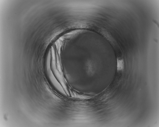 X0000098130627200805151116