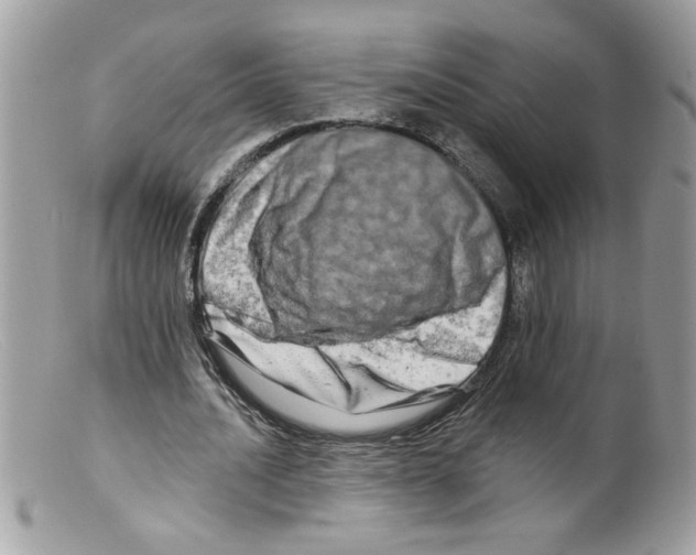 X0000098130628200805151116