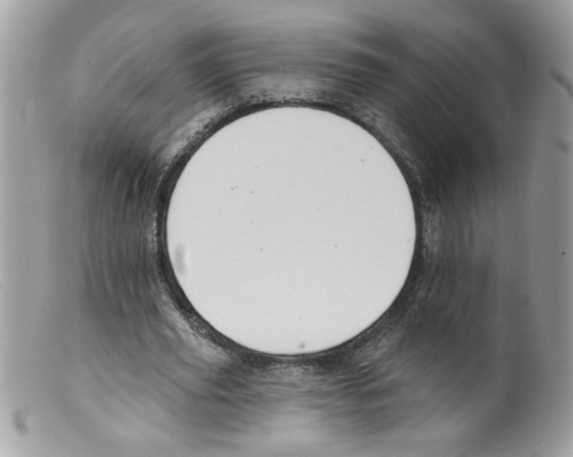 X0000098130629200805151116