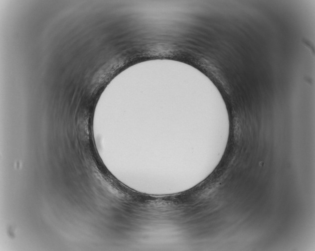 X0000098130633200805151116