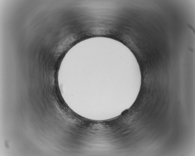 X0000098130635200805151116