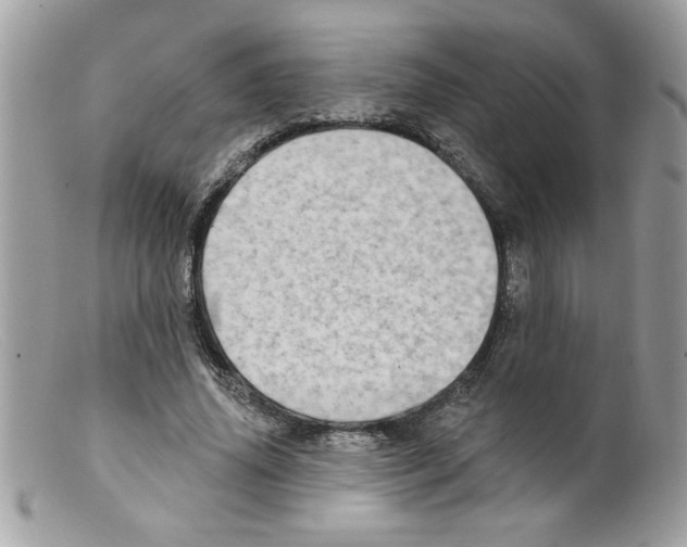 X0000098130636200805151116