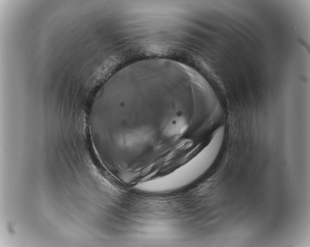 X0000098130637200805151117