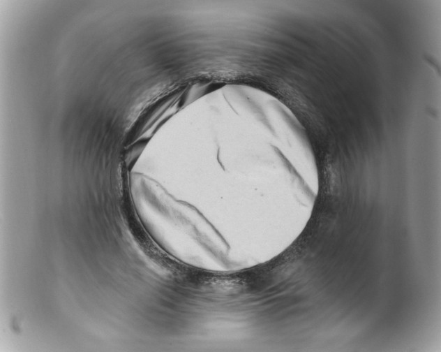 X0000098130638200805151117