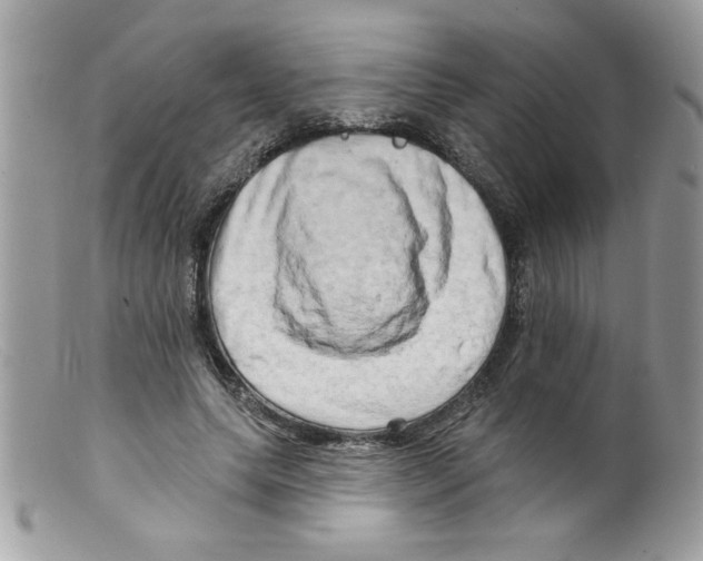 X0000098130639200805151117