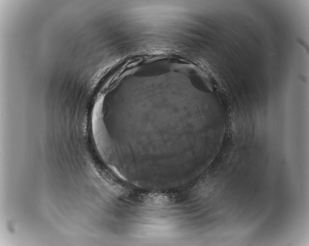 X0000098130640200805151117