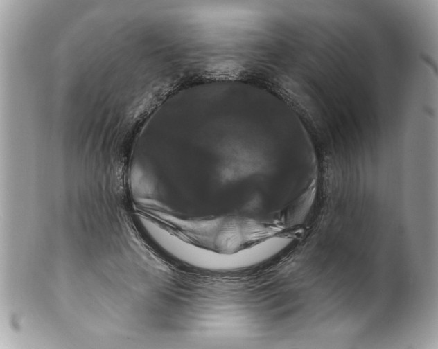 X0000098130641200805151117