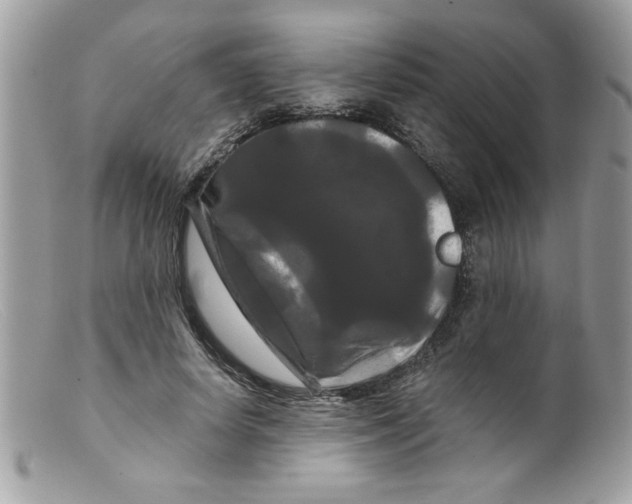 X0000098130642200805151117