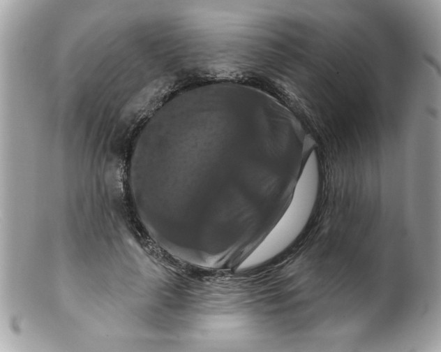 X0000098130643200805151117