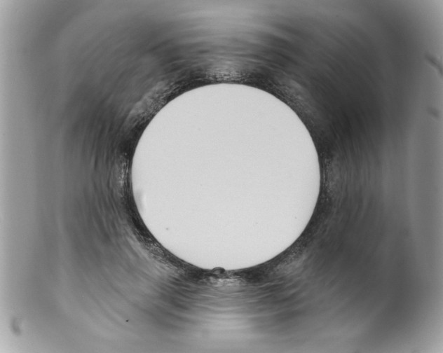 X0000098130645200805151117