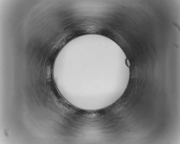 X0000098130646200805151117