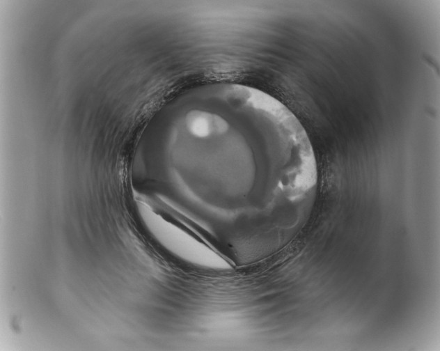 X0000098130647200805151117