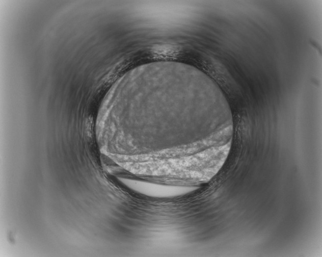 X0000098130649200805151117
