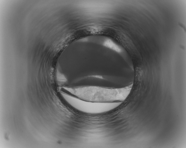 X0000098130650200805151117