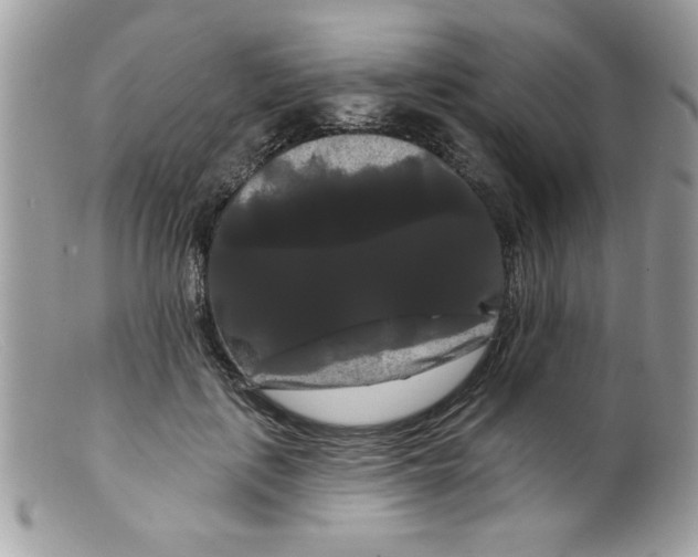 X0000098130651200805151117