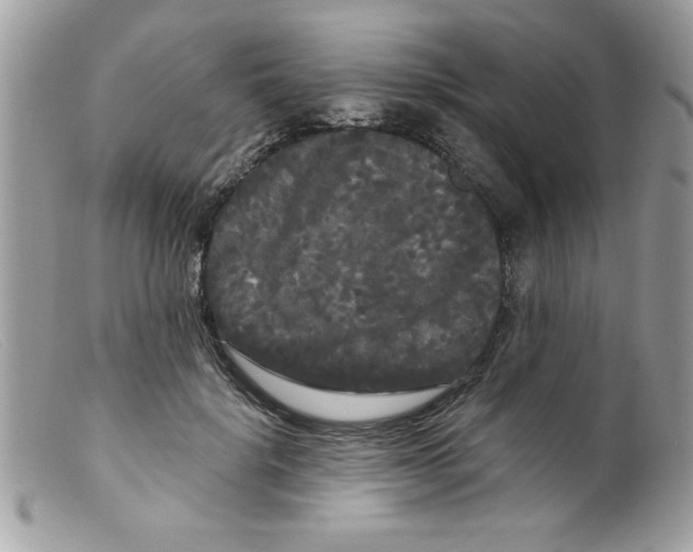 X0000098130652200805151117