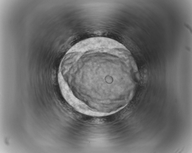 X0000098130656200805151117