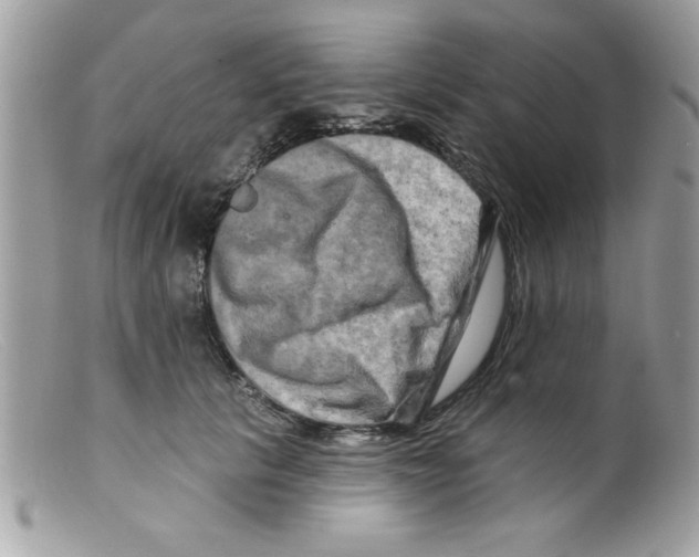 X0000098130657200805151117
