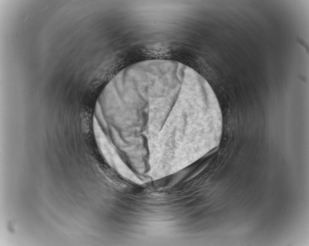 X0000098130658200805151117