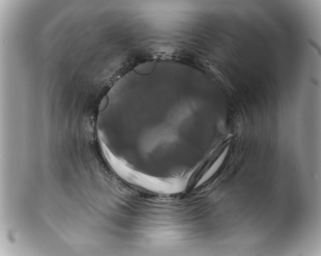 X0000098130661200805151117