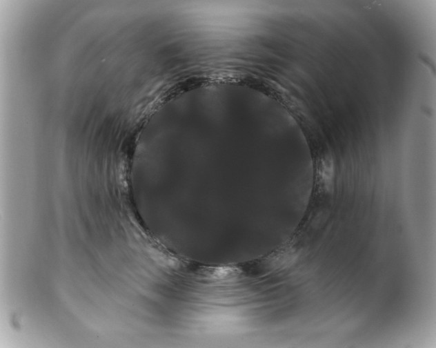 X0000098130663200805151117