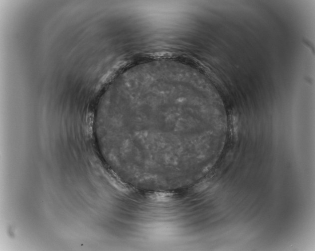 X0000098130664200805151117