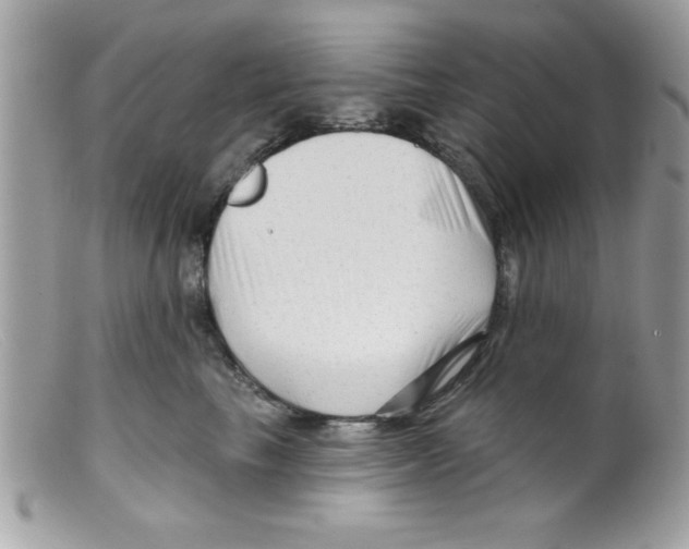 X0000098130665200805151117