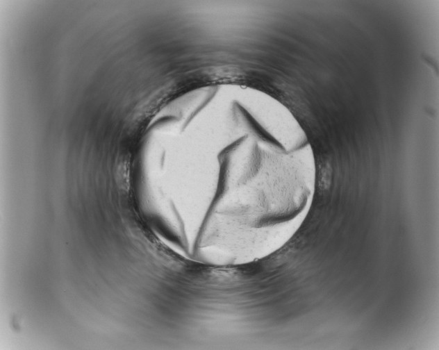 X0000098130666200805151117