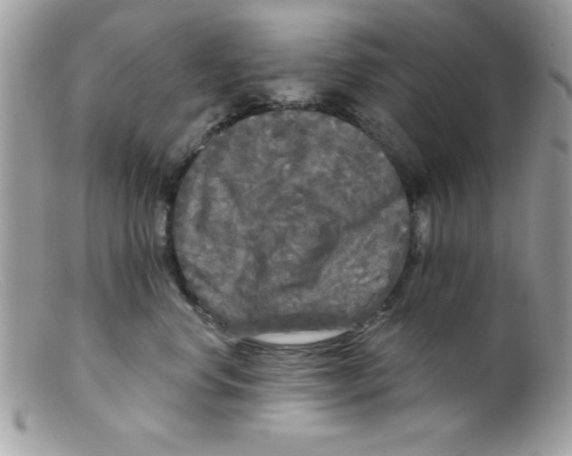 X0000098130668200805151117