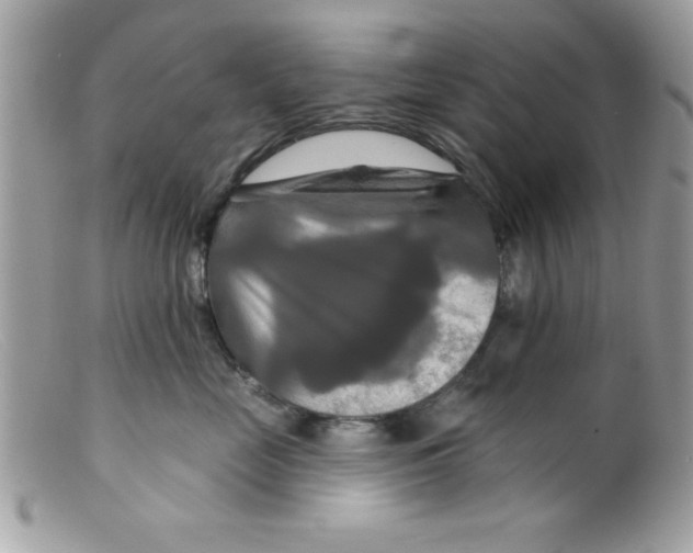X0000098130669200805151117