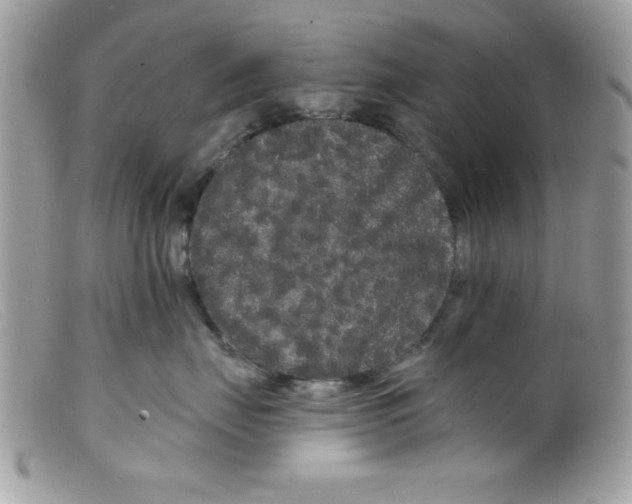 X0000098130671200805151117