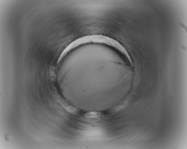 X0000098130672200805151117