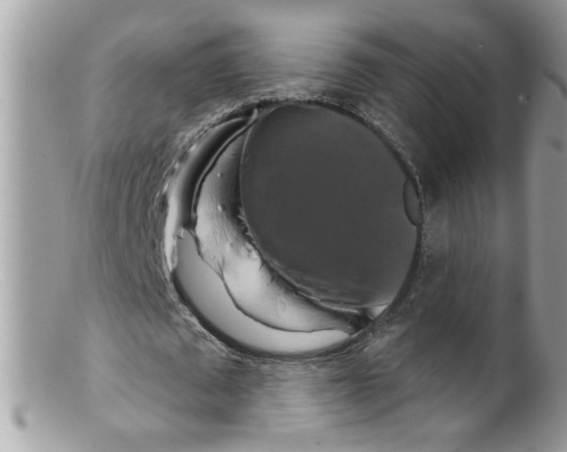 X0000098130673200805151116