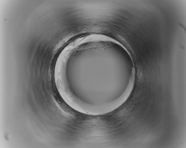 X0000098130674200805151116