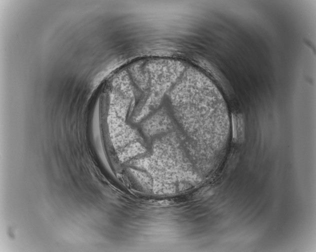 X0000098130675200805151116