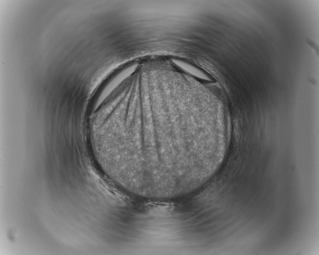 X0000098130676200805151116