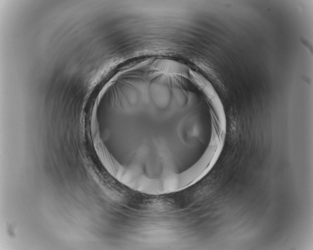 X0000098130678200805151116