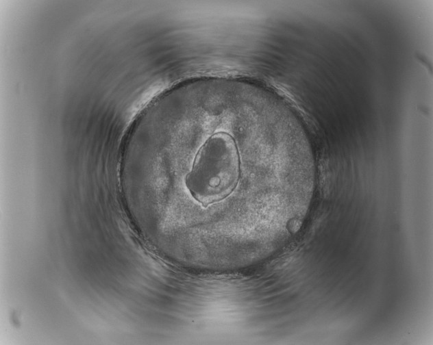 X0000098130679200805151116
