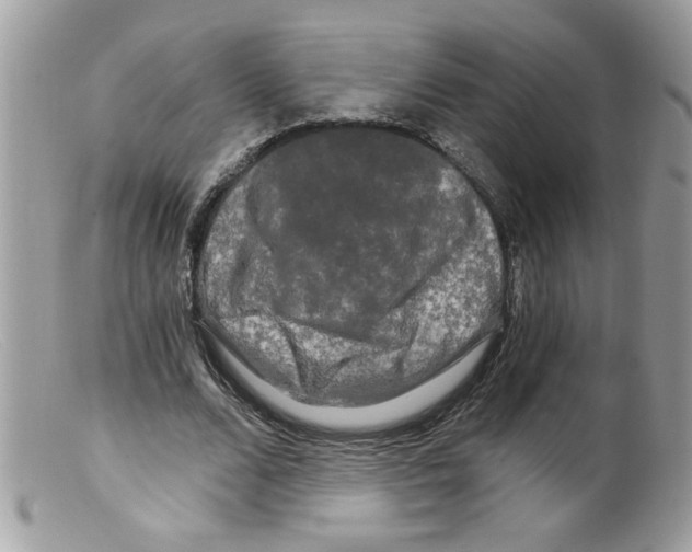 X0000098130680200805151116