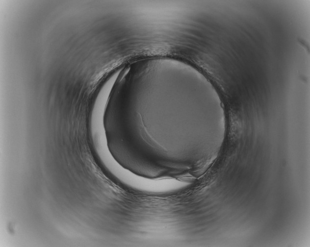 X0000098130681200805151116