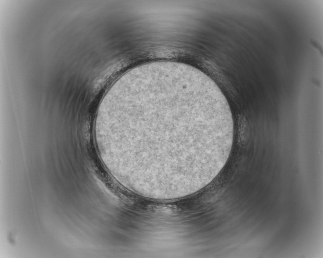 X0000098130683200805151116