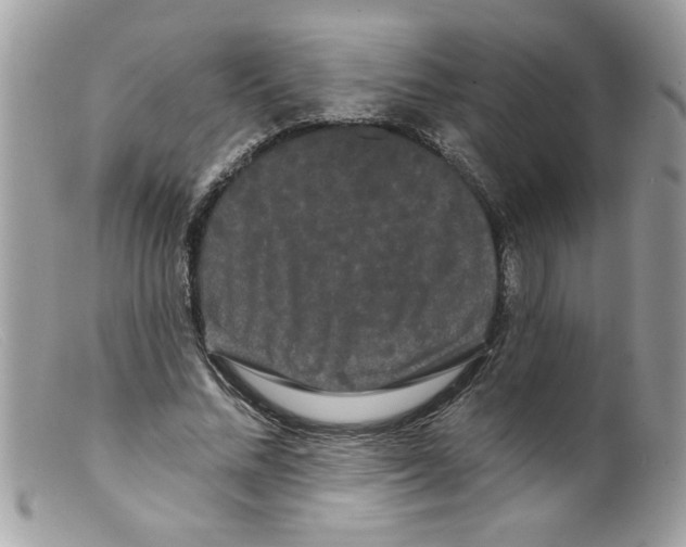 X0000098130684200805151116