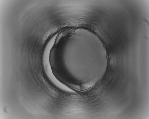 X0000098130685200805151116
