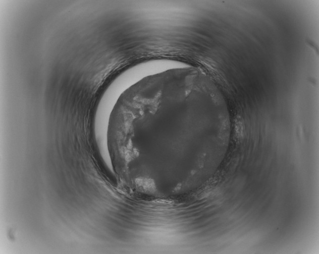 X0000098130691200805151116