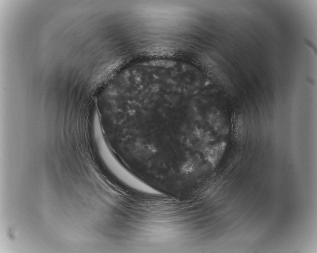 X0000098130692200805151116