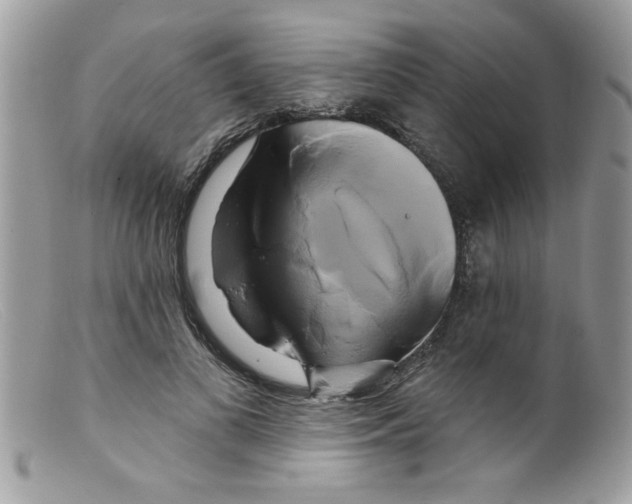 X0000098130693200805151116
