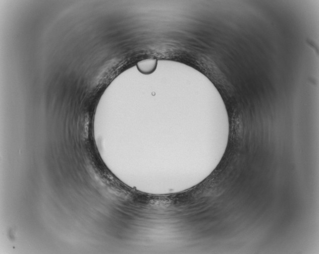 X0000098130694200805151116